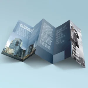 Accordion Fold Brochure - Image 5