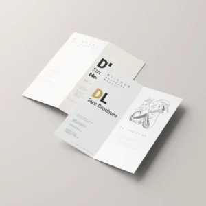 DL Flyers - Image 5
